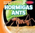 Bray Jacobson - Hormigas/ Ants