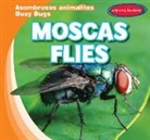 Bray Jacobson - Moscas/ Flies