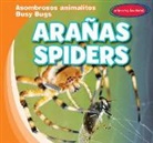 Bray Jacobson - Ara as/ Spiders