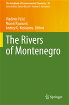 Andrey G Kostianoy, Andrey G. Kostianoy, Momir Paunovi¿, Momi Paunovic, Momir Paunovic, Vladimir Pe¿i¿... - The Rivers of Montenegro