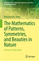 Bouram Toni, Bourama Toni - The Mathematics of Patterns, Symmetries, and Beauties in Nature