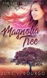 June V. Bourgo - Magnolia Tree