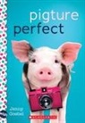 Jenny Goebel - Pigture Perfect: A Wish Novel