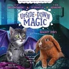 Emily Jenkins, Sarah Mlynowski - Night Owl (Upside-Down Magic #8) (Unabridged Edition) (Hörbuch)