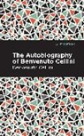 Benvenuto Cellini - Autobiography of Benvenuto Cellini