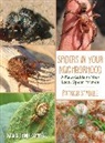 Patrick Stadille - Spiders in Your Neighborhood