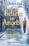 Amy Newmark - Chicken Soup for the Soul: Believe in Angels