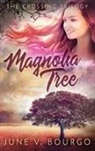 June V. Bourgo - Magnolia Tree