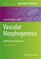 Domenic Ribatti, Domenico Ribatti - Vascular Morphogenesis