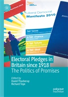 Davi Thackeray, David Thackeray, Toye, Toye, Richard Toye - Electoral Pledges in Britain Since 1918