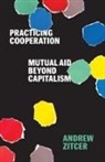 Andrew Zitcer - Practicing Cooperation