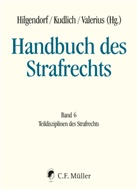 Eric Hilgendorf, Han Kudlich, Hans Kudlich, Brian Valerius - Handbuch des Strafrechts