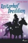 Ursula Isbel - Reiterhof Dreililien 7 - Heimweh nach den Pferden