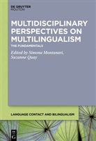 Simon Montanari, Simona Montanari, Quay, Quay, Suzanne Quay - Multidisciplinary Perspectives on Multilingualism