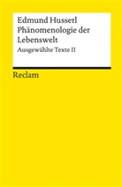 Edmund Husserl, Klau Held, Klaus Held - Phänomenologie der Lebenswelt