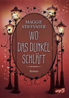 Maggie Stiefvater - Wo das Dunkel schläft (Band 4)