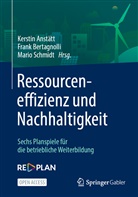 Kerstin Anstätt, Fran Bertagnolli, Frank Bertagnolli, Mario Schmidt - Ressourceneffizienz und Nachhaltigkeit