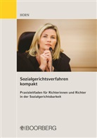 Robert Horn, Robert (Dr.) Horn - Sozialgerichtsverfahren kompakt