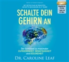 Caroline Leaf, Caroline (Dr) Leaf, Dr. Caroline Leaf, Hanna Schepmann, Hannah Schepmann - Schalte dein Gehirn an, Audio-CD, MP3 (Hörbuch)