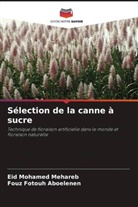Fouz Fotouh Aboelenen, Eid Mohamed Mehareb - Sélection de la canne à sucre