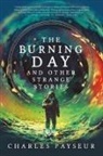 Charles Payseur - Burning Day and Other Strange Stories