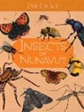 Jordan Hoffman, Athena Gubbe - Junior Field Guide: Insects of Nunavut