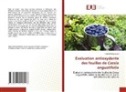 Khaled Bellassoued - Évaluation antioxydante des feuilles de Cassia angustifolia