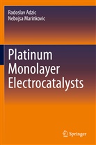 Radosla Adzic, Radoslav Adzic, Nebojsa Marinkovic - Platinum Monolayer Electrocatalysts
