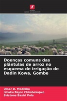 Ishaku Bajon Chimbekujwo, Umar D. Modibbo, Bristone Basiri Pola - Doenças comuns das plântulas de arroz no esquema de irrigação de Dadin Kowa, Gombe