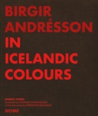 Birgir Andre_sson, Birgir Andre´sson, Birgir Andre'sson, Birgir Andrésson, Robert Hobbs, i Gallery Reykjavík... - Birgir Andrésson, In Icelandic Colours