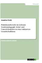 Josephine Finckh - Praktikumsbericht im Lehramt Sonderpädagogik. Schul- und Unterrichtsleben in einer inklusiven Grundschulklasse