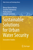 Shami Chakraborty, Shamik Chakraborty, Pa Kumar, Pankaj Kumar, Binaya Kuma Mishra, Binaya Kumar Mishra... - Sustainable Solutions for Urban Water Security