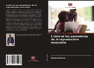 Kyrian Nwoke - L'okro et les paramètres de la reproduction masculine