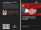 Nicolas Cabrit - Le condizioni per un subappalto cinese di successo