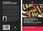 Ibrahim Sani Kankara - UMA HISTÓRIA DE TRANSFORMAÇÃO DE KAURANCI NA METRÓPOLIS DE KATSINA