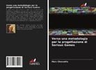 Marc Cheruette - Verso una metodologia per la progettazione di Serious Games