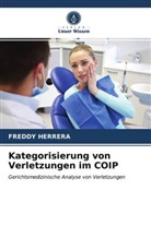 Freddy Herrera - Kategorisierung von Verletzungen im COIP