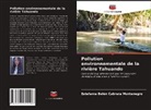 Estefanía Belén Cabrera Montenegro - Pollution environnementale de la rivière Tahuando
