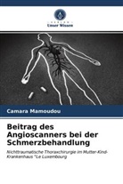 Camara Mamoudou - Beitrag des Angioscanners bei der Schmerzbehandlung