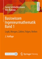 Nils Mahnke, Geor Schlüchtermann, Georg Schlüchtermann - Basiswissen Ingenieurmathematik Band 1