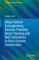 Matteo Fadel - Many-Particle Entanglement, Einstein-Podolsky-Rosen Steering and Bell Correlations in Bose-Einstein Condensates
