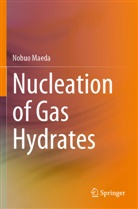NOBUO MAEDA - Nucleation of Gas Hydrates