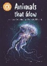 Franklin Watts, Claire McElfatrick, Katie Woolley, Woolley Katie, Claire McElfatrick - Reading Champion: Animals that Glow
