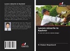 M. Mudasir Naqshbandi - Lavoro minorile in Kashmir