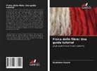 Esubalew Kasaw - Fisica delle fibre: Una guida tutorial