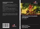 Nadia Chaouali, Hayet Ghorbel, Abderazzek Hedhili - Intossicazione da piante cianogene