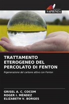 Grisel A. C. Cocom, Grisel Anahí Cervantes Cocom, Roger I. Méndez, Roger Iván Méndez Novelo, Elizabeth V. Borges, Elizabeth del Rosario Vázquez Borges - TRATTAMENTO ETEROGENEO DEL PERCOLATO DI FENTON