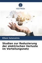 Elham Salamatnia - Studien zur Reduzierung der elektrischen Verluste im Verteilungsnetz