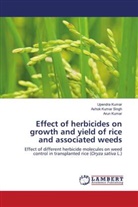 Arun Kumar, Upendra Kumar, Ashok Kumar Singh - Effect of herbicides on growth and yield of rice and associated weeds