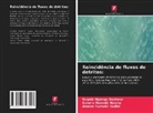 Sandra Maombi Nzamu, Rugain Ngangu Bonheur, Arsène Tumaini Sadiki - Reincidência de fluxos de detritos: